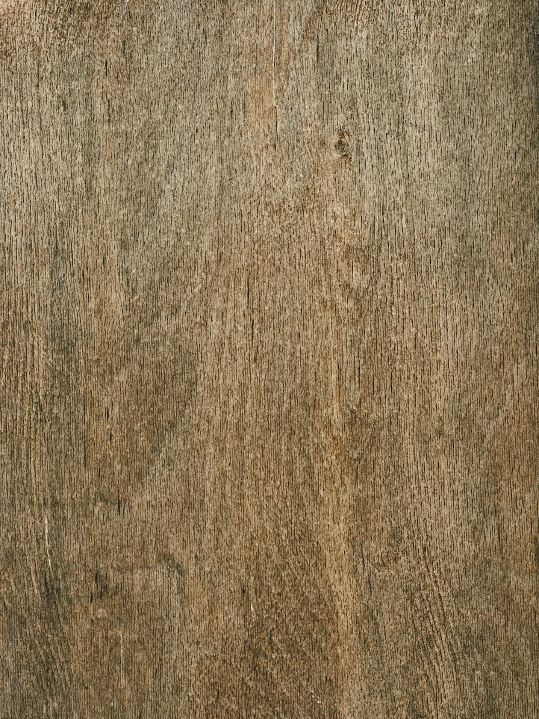 Makro detail kresby dubového dreva